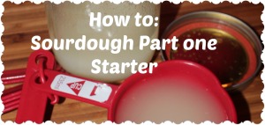 sourdough starter header
