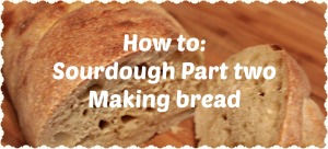 sourdough bread header
