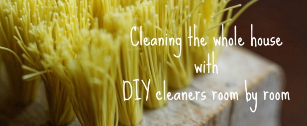 Cleaning the whole house with DIY cleaners room by room